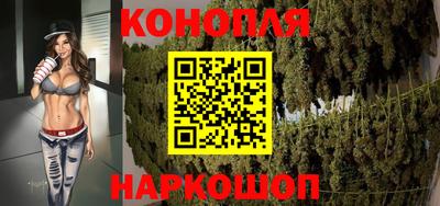 шишки Можга